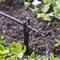 Raindrip Raindrip Spot Drip Irrigation Dripper 0.5 gph 10 pk R108CT - alternate 5